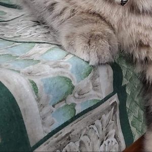 Meet your Posher, Crystal